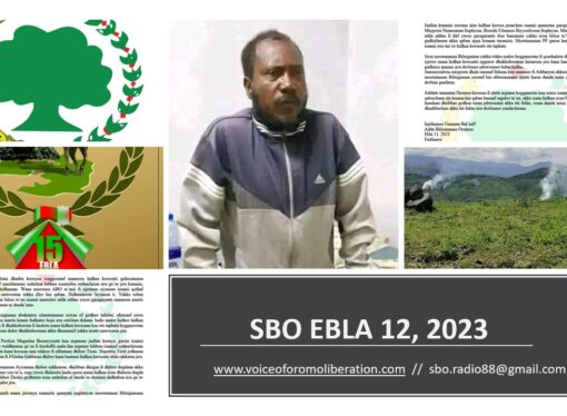 SBO EBLA 12,2023