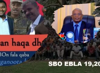 SBO EBLA 19,2023