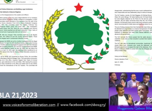 SBO EBLA 21,2023