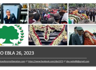 SBO EBLA 26, 2023