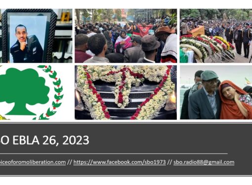 SBO EBLA 26, 2023