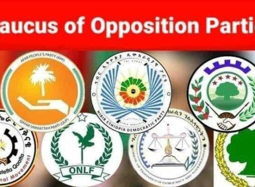 A Press Statement on Constitutional Amendments proposed by the Ethiopian Institute of Policy Studies