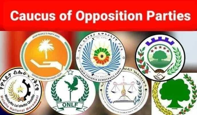 A Press Statement on Constitutional Amendments proposed by the Ethiopian Institute of Policy Studies