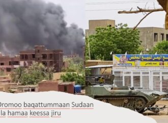 Lolli biyya Sudaan keessaa baqattoota Oromoo gara itti deebi’an dhabanii rakkataa jiran haalaan hubaa jira.