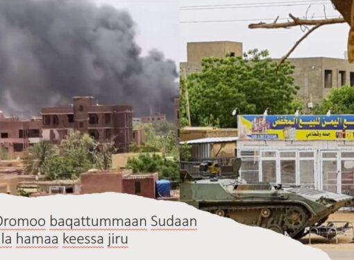 Lolli biyya Sudaan keessaa baqattoota Oromoo gara itti deebi’an dhabanii rakkataa jiran haalaan hubaa jira.