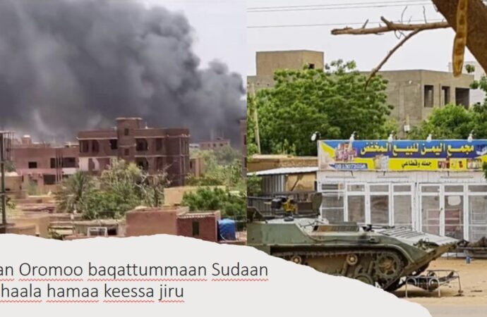 Lolli biyya Sudaan keessaa baqattoota Oromoo gara itti deebi’an dhabanii rakkataa jiran haalaan hubaa jira.