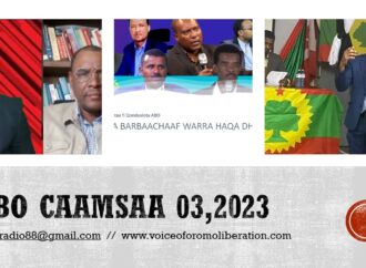 SBO CAAMSAA 03,2023