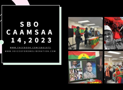 SBO CAAMSAA 15, 2023