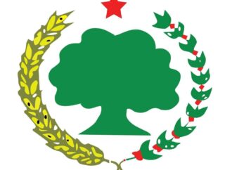 Bakka kaleessaa dhaabbannee iddoo har’a jirru yoo ilaallu, qoodni SBOn Qabsoo keessatti kenne ol’aanaa dha. Waggaa 35ffaa SBO ilaalchisee Ijoo Dubbii ABO