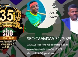 SBO 31, 2023