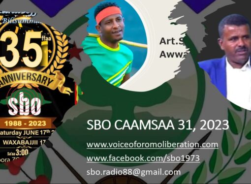 SBO 31, 2023