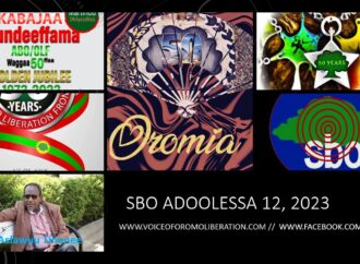 SBO ADOOLESSA 12, 2023