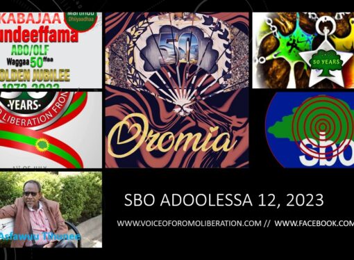 SBO ADOOLESSA 12, 2023