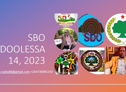 SBO ADOOLESSA 14, 2023