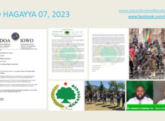 SBO HAGAYYA 07, 2023