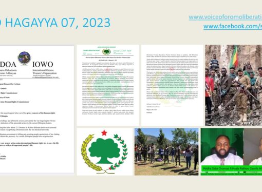 SBO HAGAYYA 07, 2023