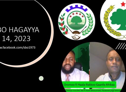 SBO HAGAYYA 14, 2023
