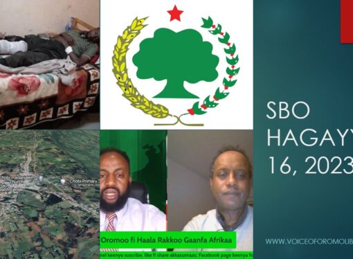 SBO HAGAYYA 16, 2023