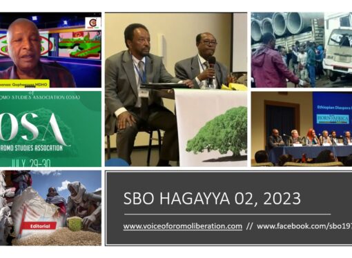 SBO HAGAYYA 02, 2023