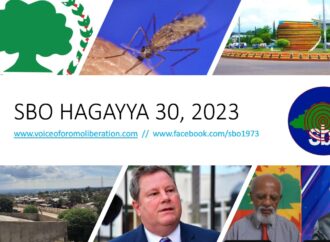 SBO HAGAYYA 30, 2023