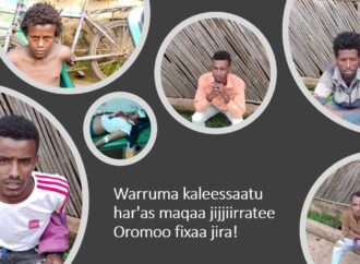 Warri akka malee fi bakka malee jiru, Dhumaatii Ummata ofiif dantaa hin qaban.