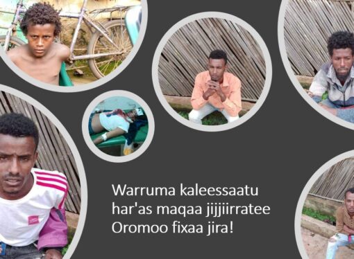 Warri akka malee fi bakka malee jiru, Dhumaatii Ummata ofiif dantaa hin qaban.