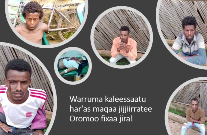 Warri akka malee fi bakka malee jiru, Dhumaatii Ummata ofiif dantaa hin qaban.