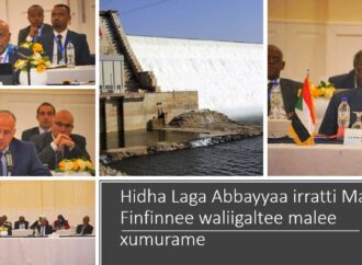 Dhimma Hidha Laga Abbayyaa irratti biyyootni sadan Finfinneetti marii irra turan osoo walii hin galin adda ba’an