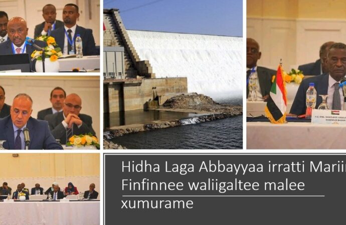 Dhimma Hidha Laga Abbayyaa irratti biyyootni sadan Finfinneetti marii irra turan osoo walii hin galin adda ba’an