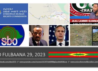 SBO FULBAANA 29, 2023