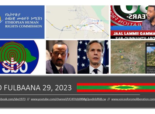 SBO FULBAANA 29, 2023