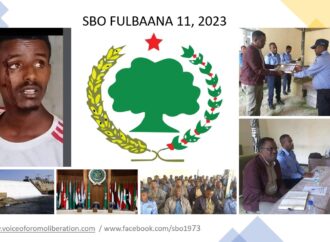 SBO FULBAANA 11, 2023