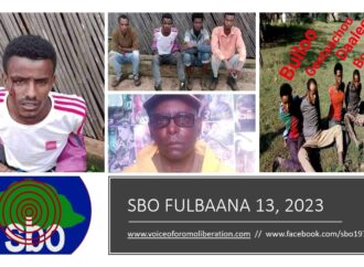 SBO FULBAANA 13, 2023