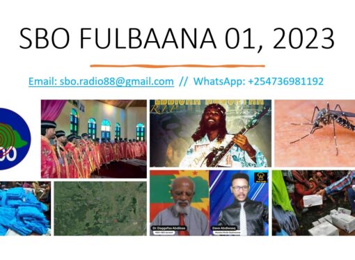 SBO FULBAANA 01, 2023