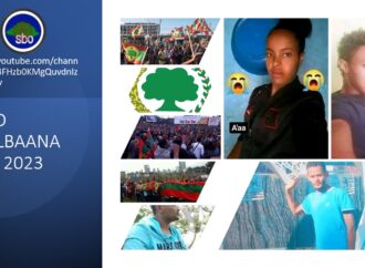 SBO FULBAANA 15, 2023