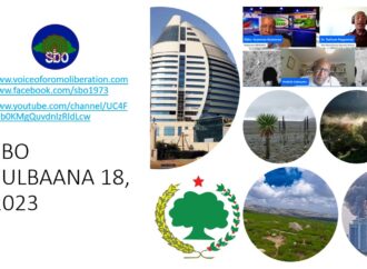 SBO FULBAANA 18, 2023