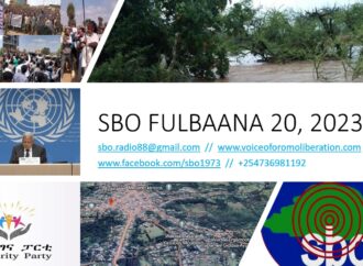 SBO FULBAANA 20, 2023