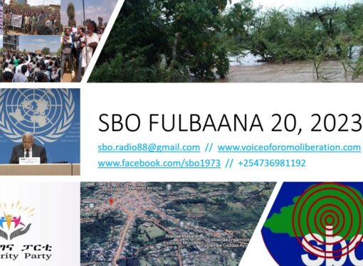 SBO FULBAANA 20, 2023
