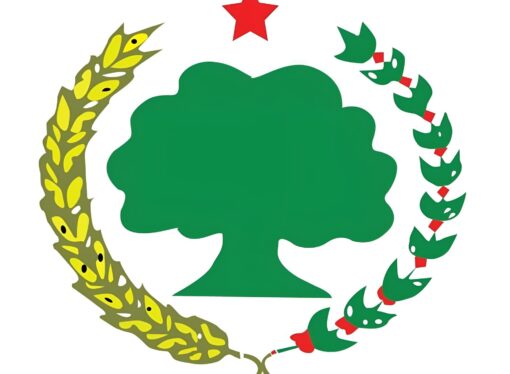 Ibsa Gaddaa Du’aan Boqochuu Jaal Tasfaayee Baqqalaa Ilaalchisee Kenname