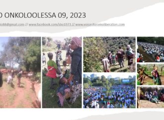 SBO ONKOLOOLESSA 09, 2023
