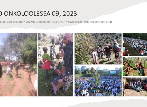SBO ONKOLOOLESSA 09, 2023