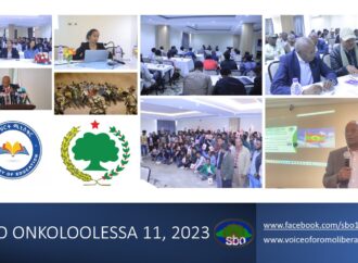 SBO ONKOLOOLESSA 11, 2023