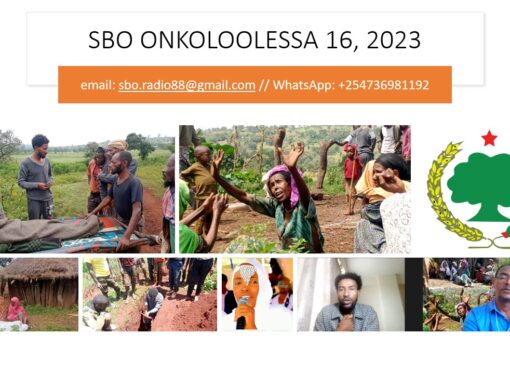 SBO ONKOLOOLESSA 16, 2023