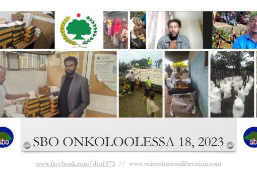 SBO ONKOLOOLESSA 18, 2023