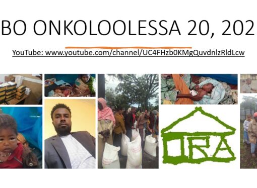 SBO ONKOLOOLESSA 20, 2023