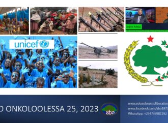 SBO ONKOLOOLESSA 25, 2023