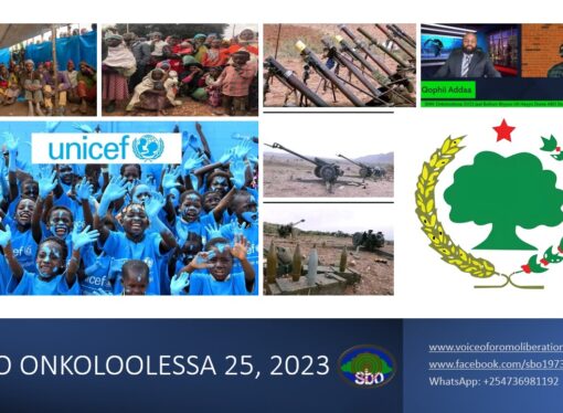 SBO ONKOLOOLESSA 25, 2023