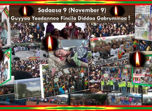 SADAASA 9 GUYYAA YAADANNOO FINCILA DIDDAA GABRUMMAA (FDG)