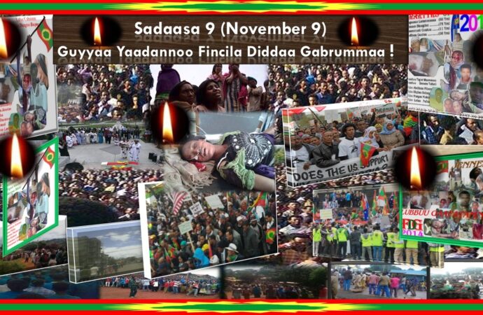 SADAASA 9 GUYYAA YAADANNOO FINCILA DIDDAA GABRUMMAA (FDG)