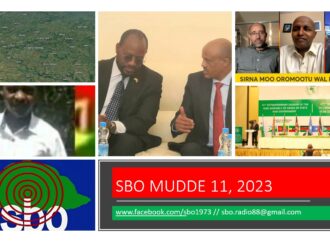 SBO MUDDE 11, 2023